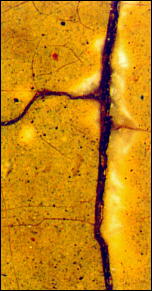 Желто-зеленая прокладка (санкирь) - лик Георгия на иконе «Св. Георгий» (конец XIV - начало XV в.) из Деисусного ряда иконостаса Благовещенского собора Московского Кремля. Желтая охра, уголь, свинцовые белила, киноварь. Фотосъемка через бинокулярный микроскоп, увеличено в 40 раз