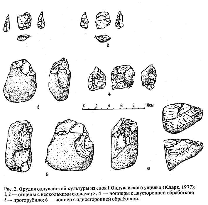 «Дорогое удовольствие – Тольятти» Декабрь by Dorogoe Udovolstvie - Issuu