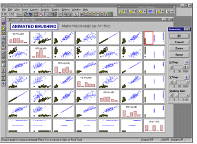Динамическое закрашивание