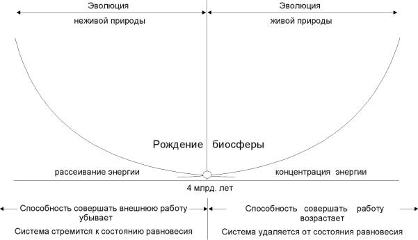 Реферат: Творческая эволюция живой и «неживой» материи